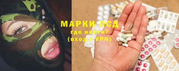 ГАЛЛЮЦИНОГЕННЫЕ ГРИБЫ Алзамай