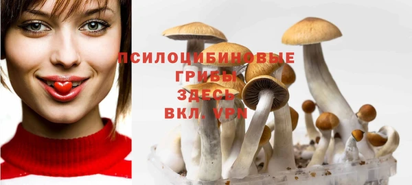 ГАЛЛЮЦИНОГЕННЫЕ ГРИБЫ Алзамай