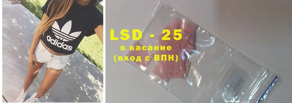ГАЛЛЮЦИНОГЕННЫЕ ГРИБЫ Алзамай