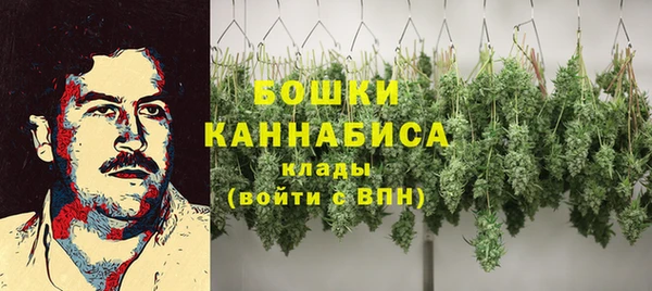 гашик Няндома