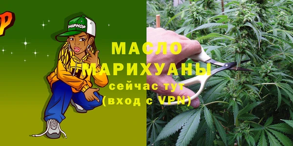 гашик Няндома