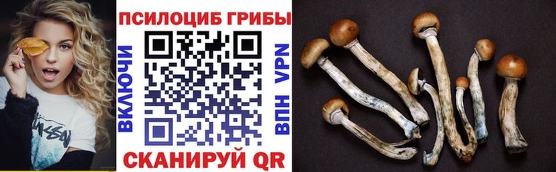 OMG зеркало  Арсеньев  Псилоцибиновые грибы ЛСД  закладка 